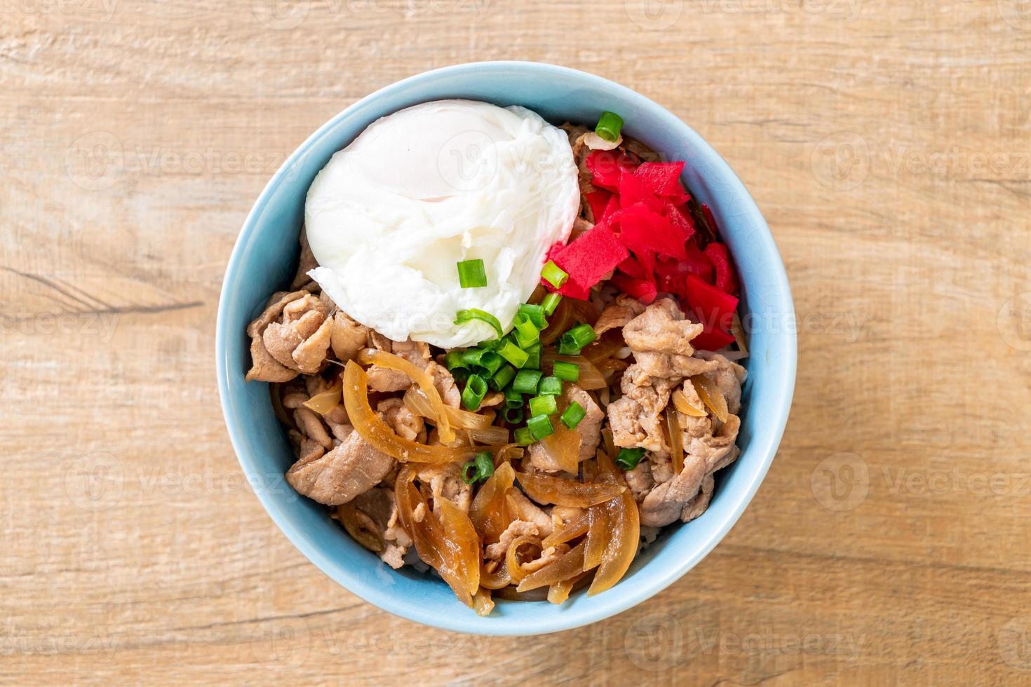 Pork rice bowl with egg - Donburi - Japanese food style photo