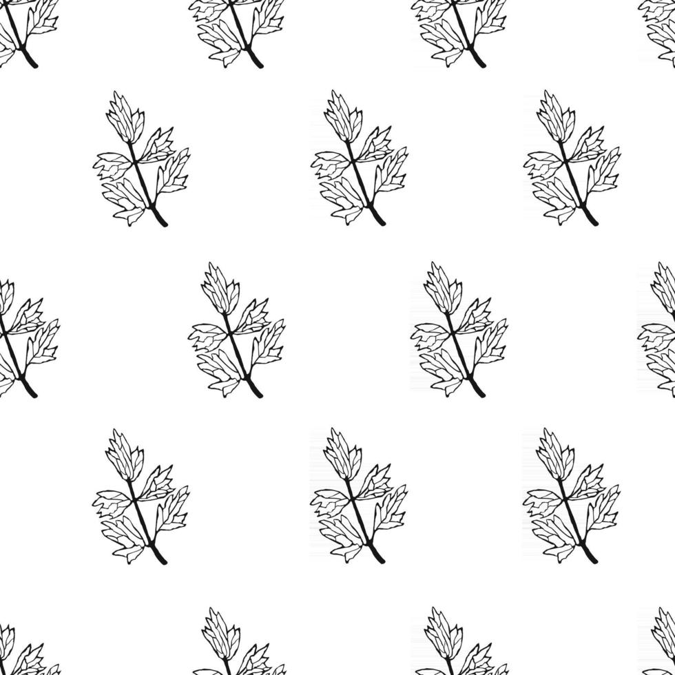 Vector seamless background with illustration of herbs, or plant