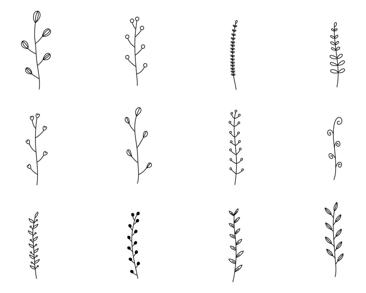 silueta de ramas con hojas vector