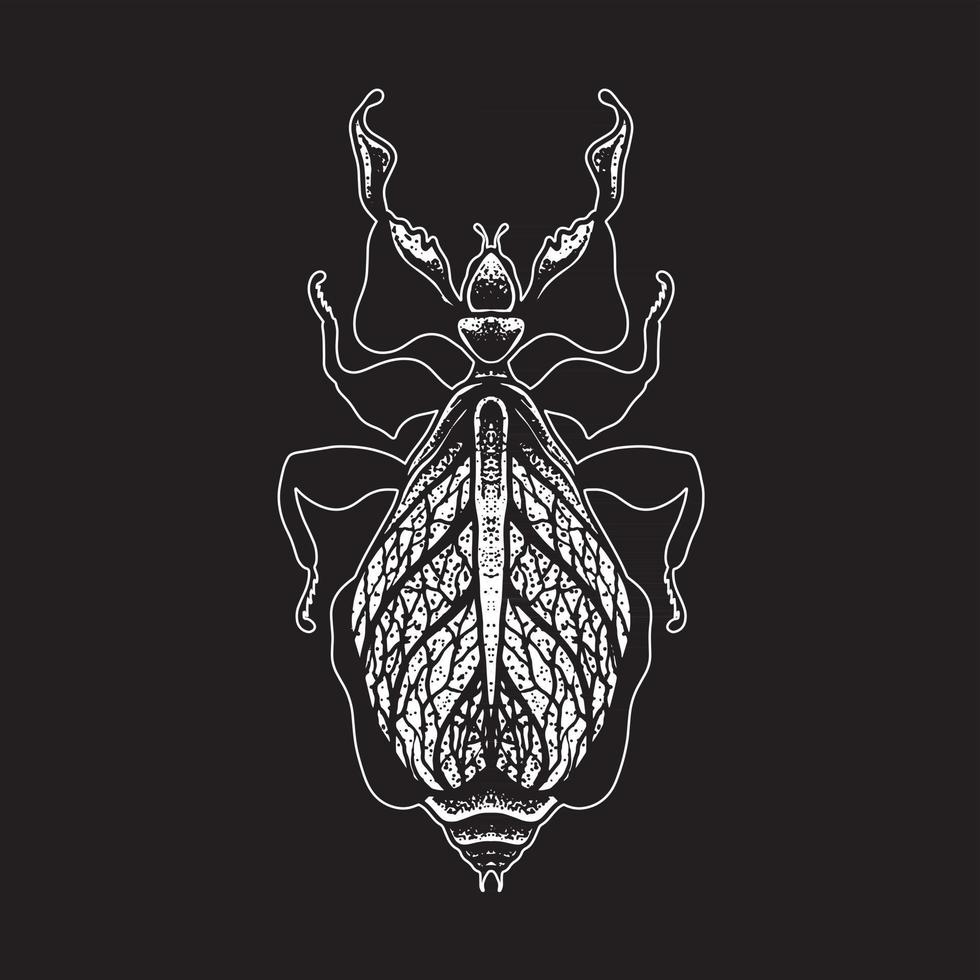 Insect hand drawing vector