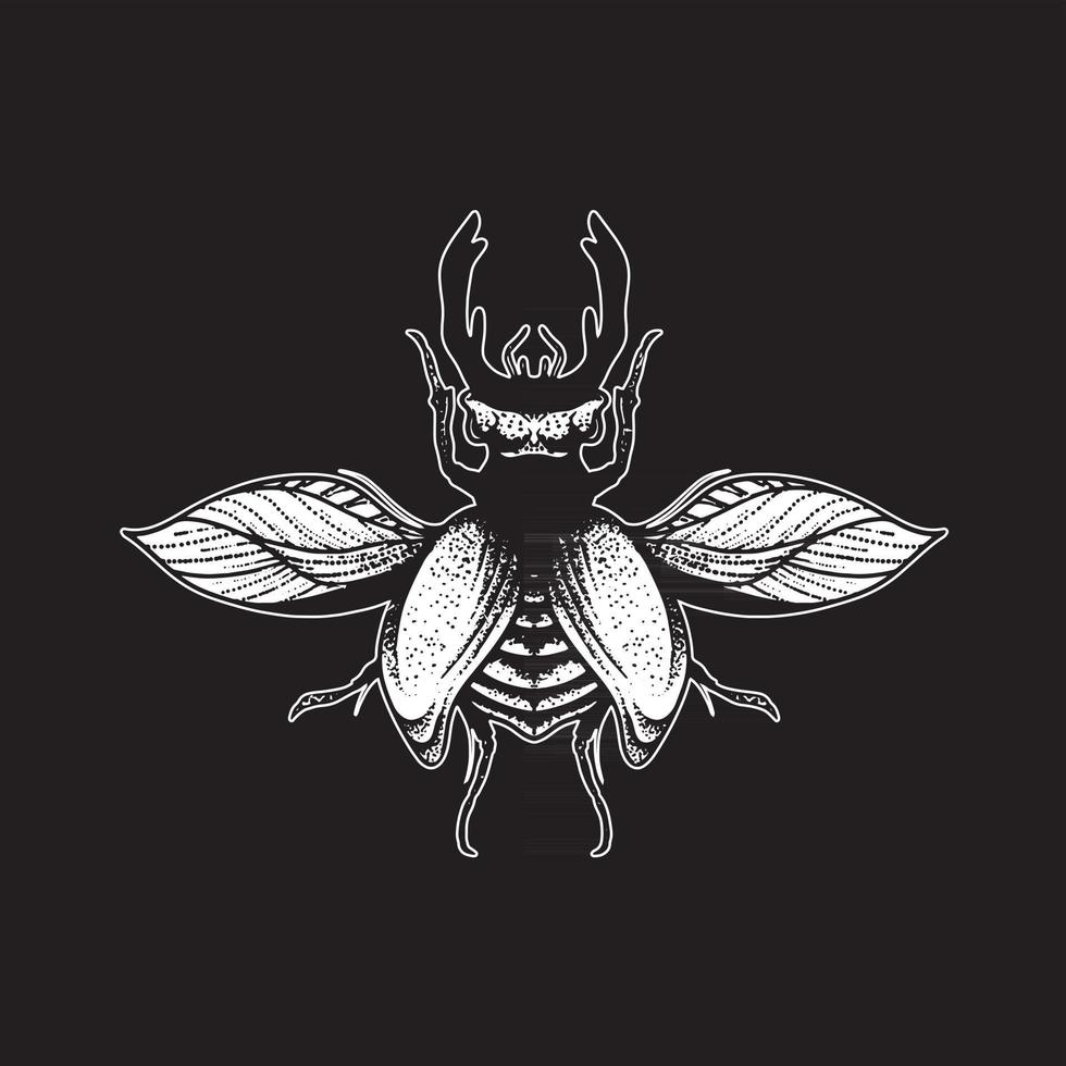 Insect hand drawing vector