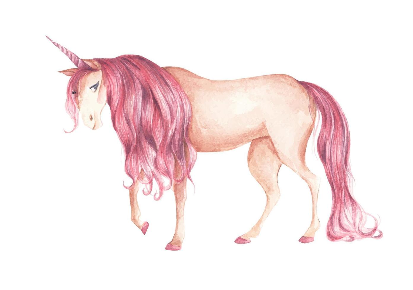Unicorn with pink colored hairstyle. Watercolor illustration. vector