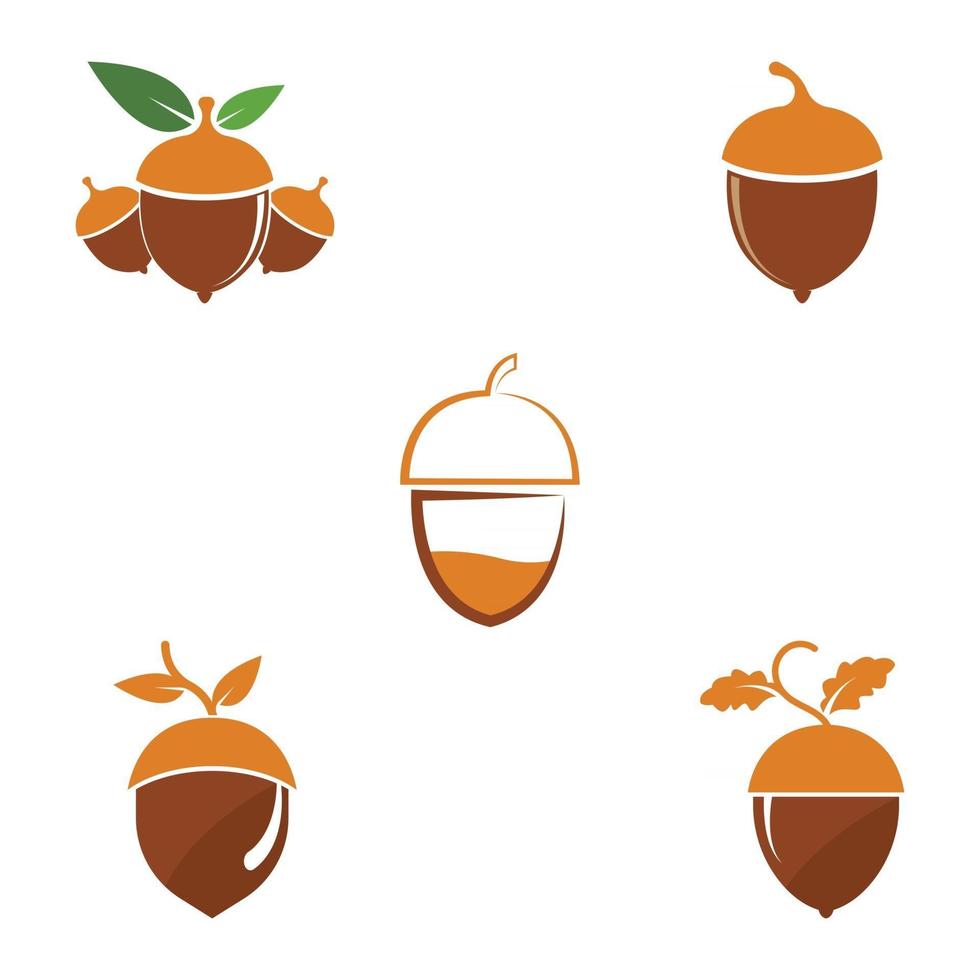 Acorn oak logo illustration vector