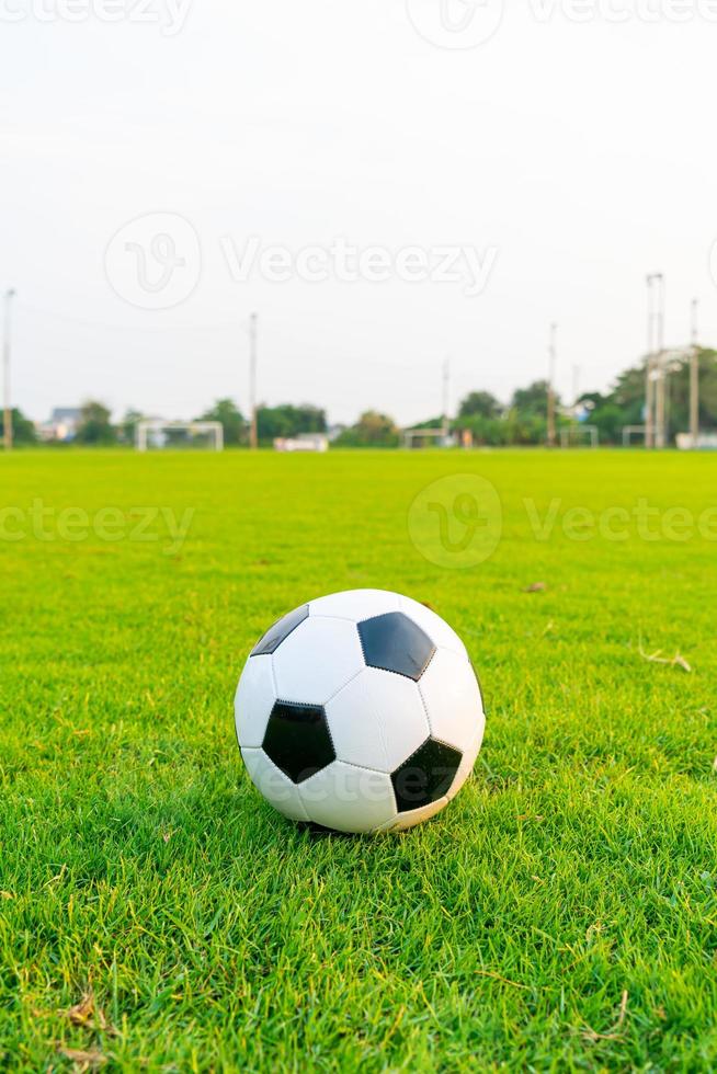 Soccer ball on the ball field photo