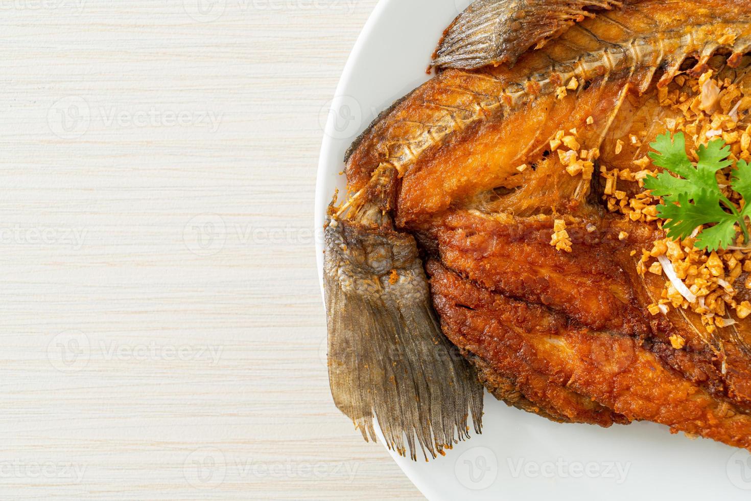 Fried Sea Bass Fish with Garlic photo