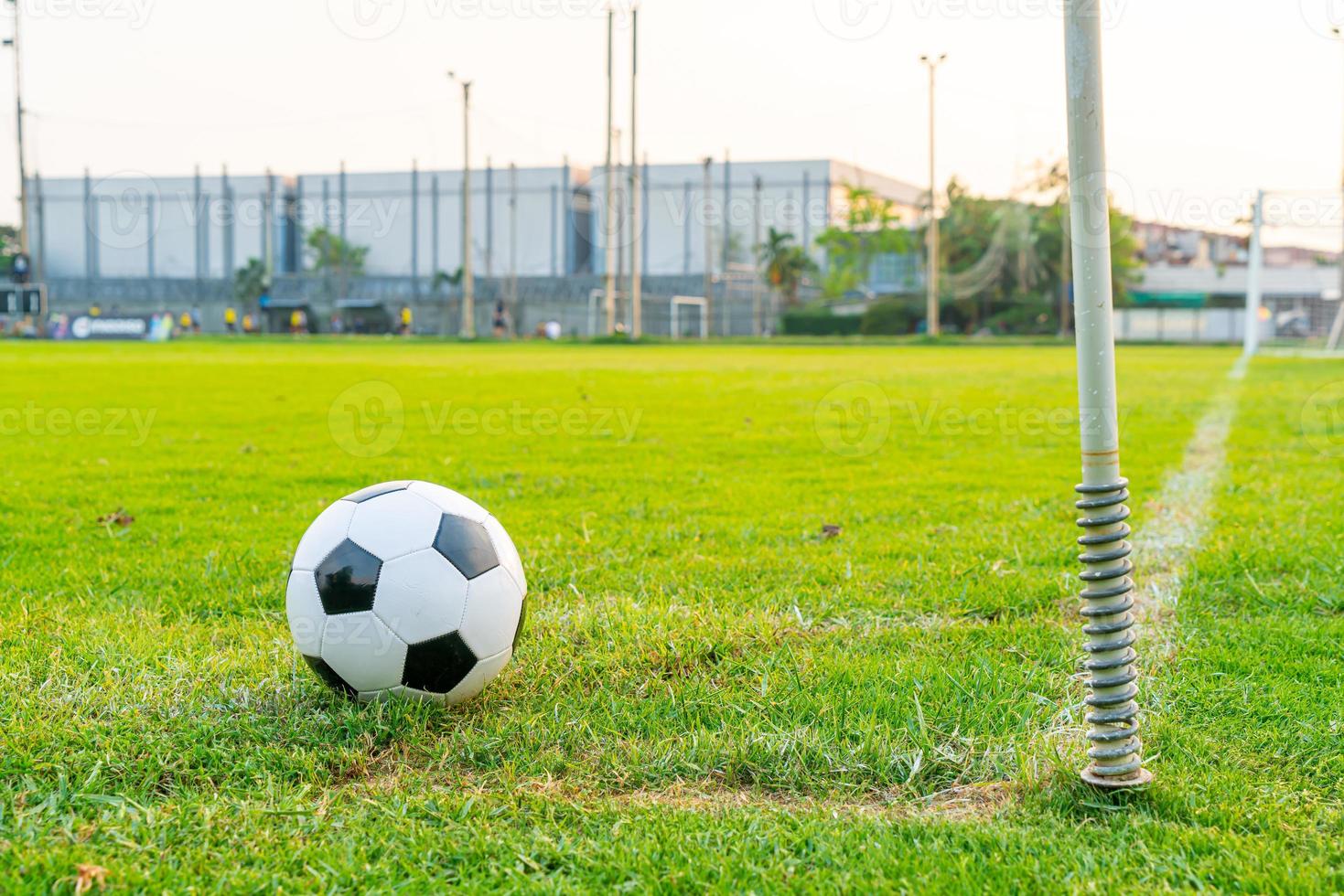 Soccer ball on the ball field photo