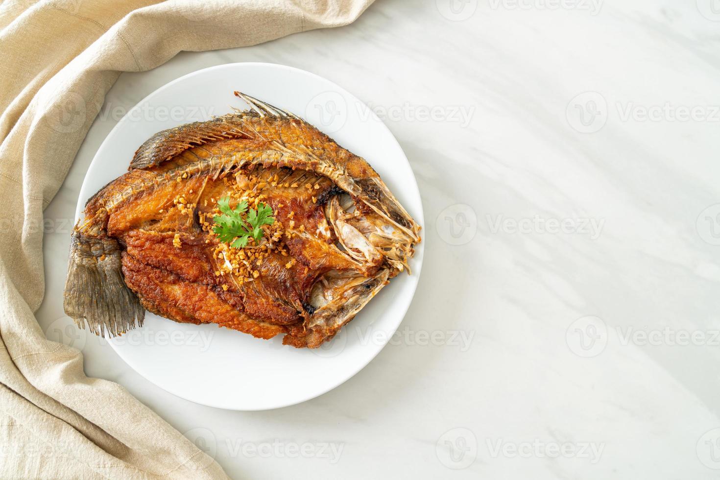 Fried Sea Bass Fish with Garlic photo