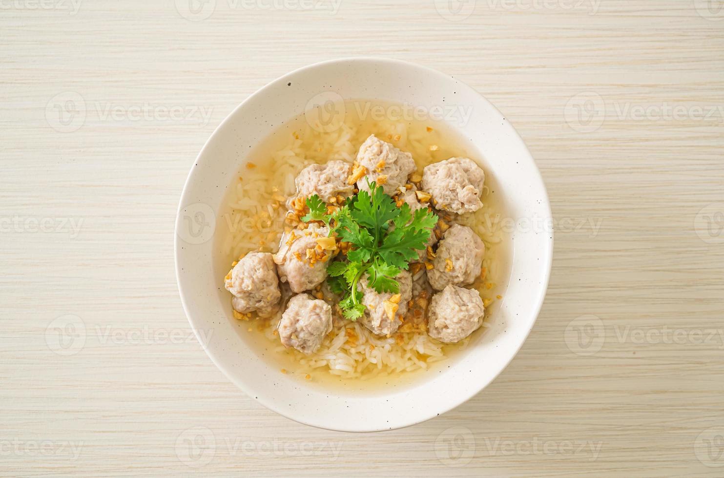 Boiled Rice with Pork Bowl photo