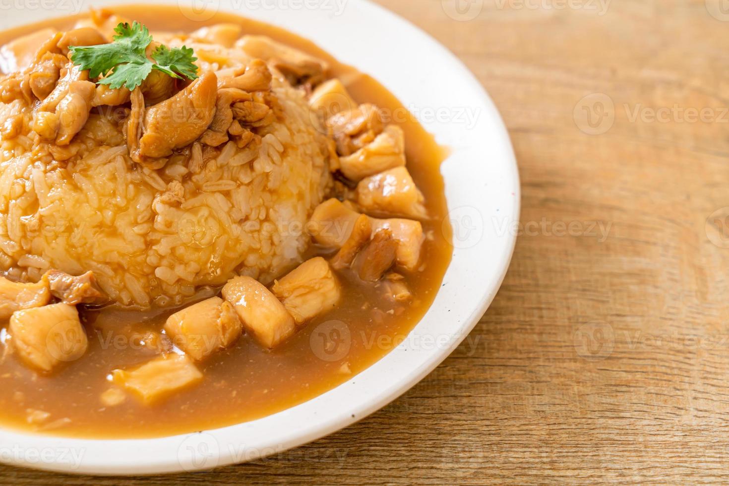 Chicken in brown sauce or gravy sauce with rice photo