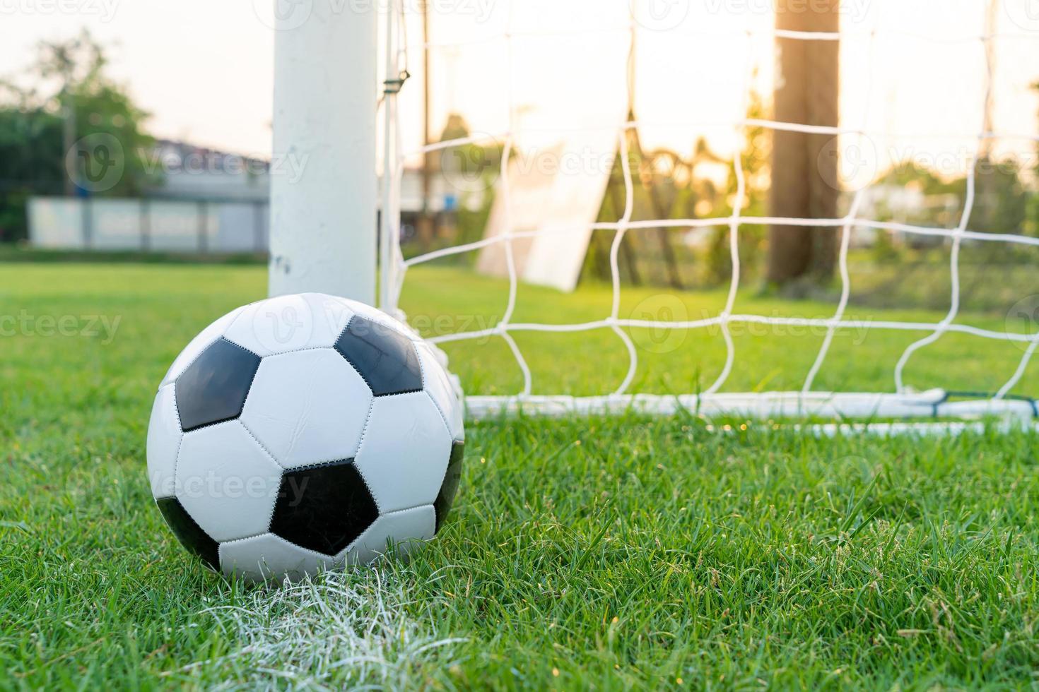 Soccer ball on the ball field photo