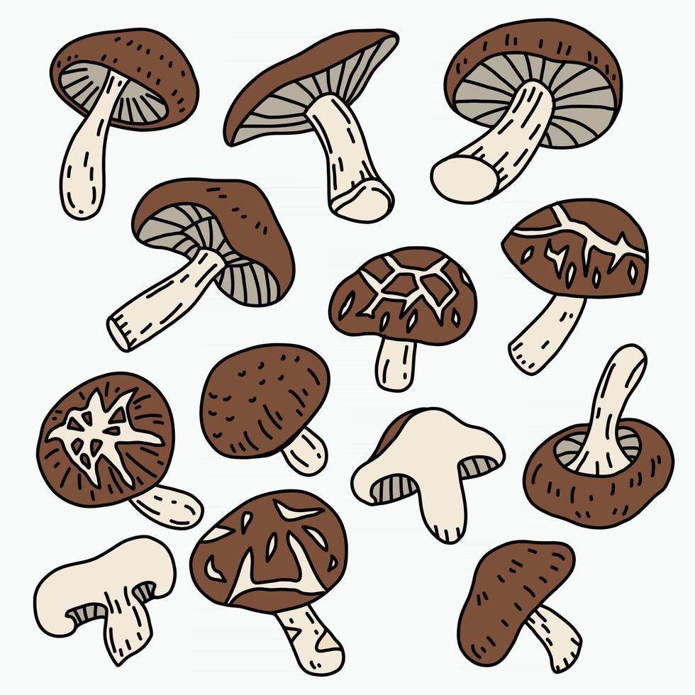 Doodle freehand sketch drawing of shitake mushroom vegetable. vector