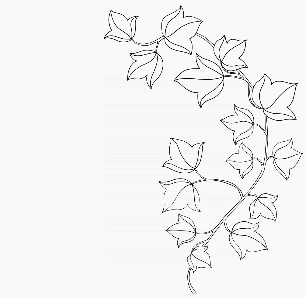 Simplicity ivy freehand drawing flat design. vector