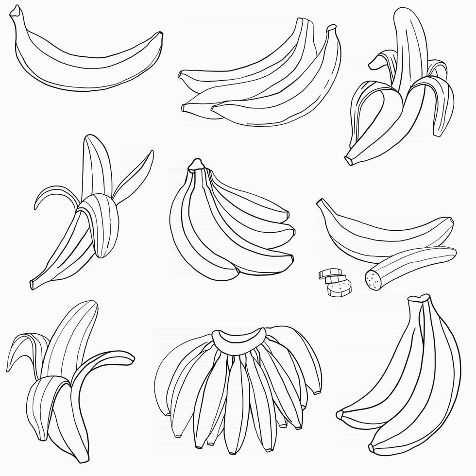 Doodle dibujo a mano alzada de fruta de plátano. vector