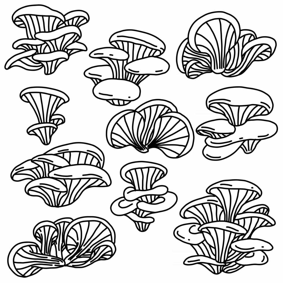 Doodle freehand sketch drawing collection set of oyster mushroom vector