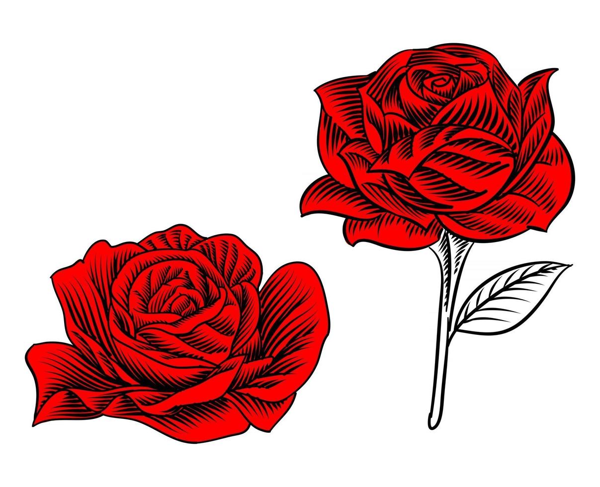 conjunto de ilustración de rosa floreciendo para elemento logo vector