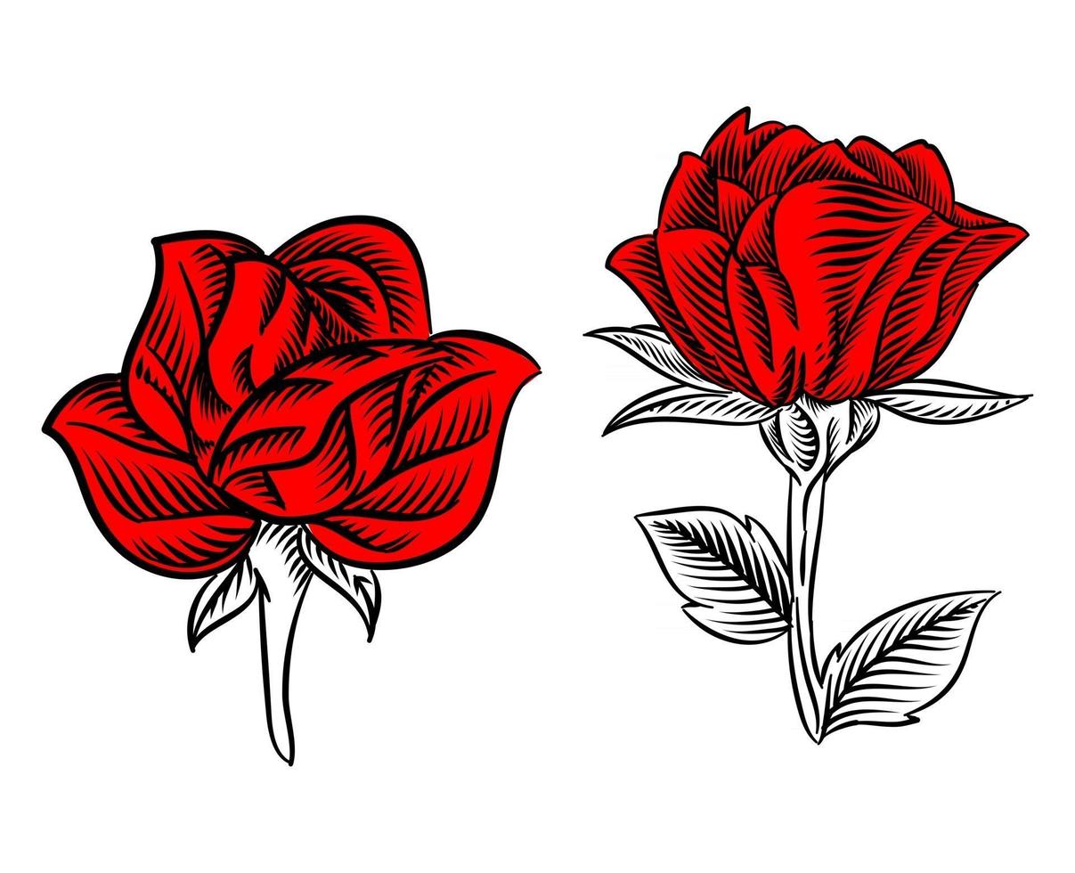 conjunto de ilustración de rosa floreciendo para elemento logo vector