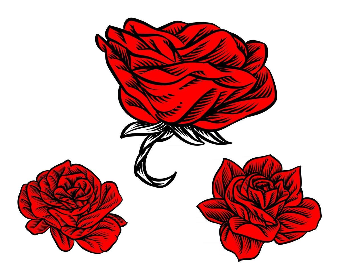 conjunto de ilustración de rosa floreciendo para elemento logo vector