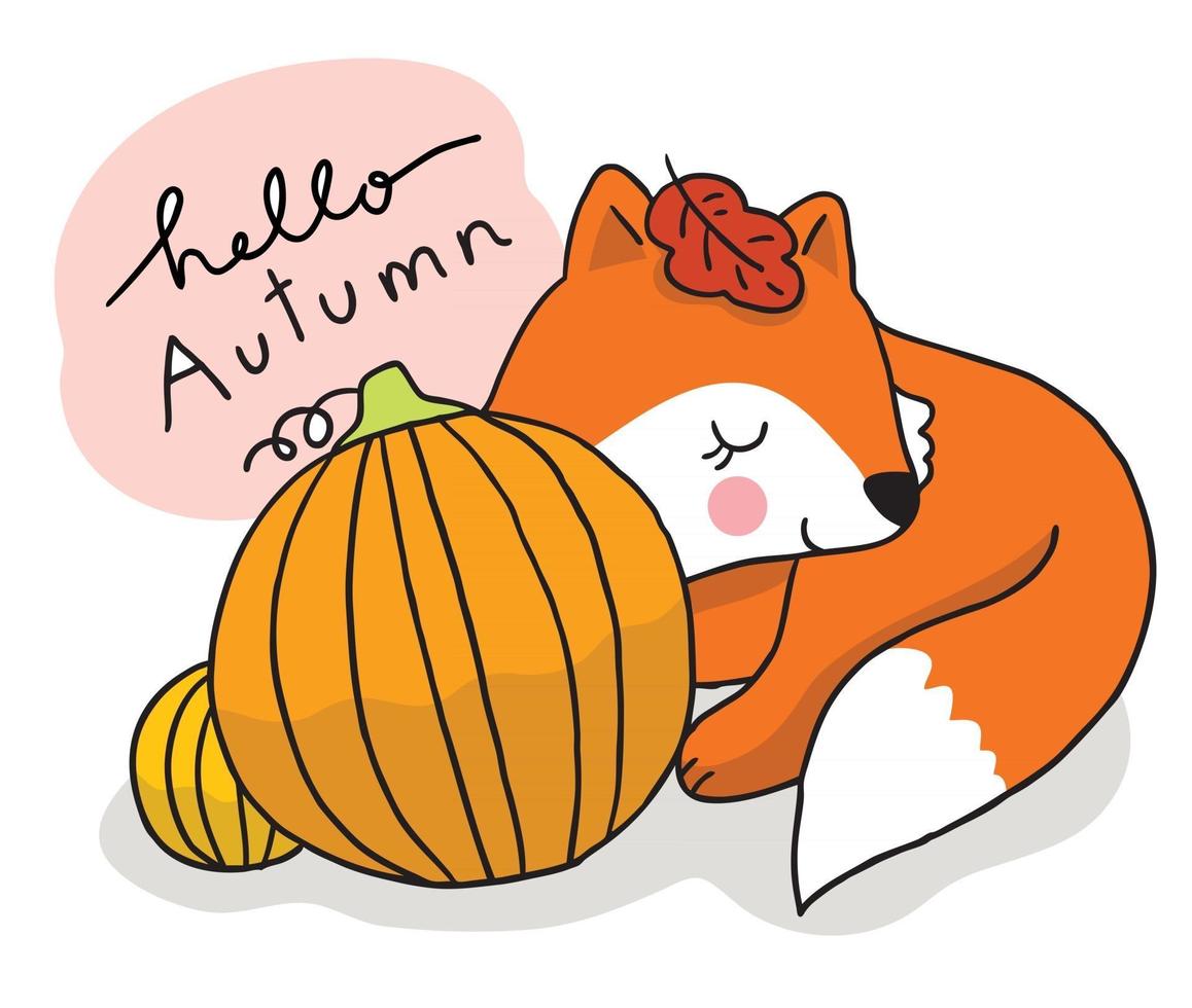 Cartoon cute hand draw fox sleep and big pumpkin vector. vector