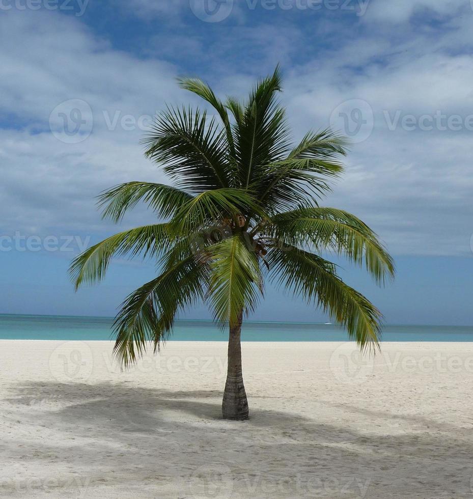 Isla Pasion - Passion Island Cozumel Mexico photo