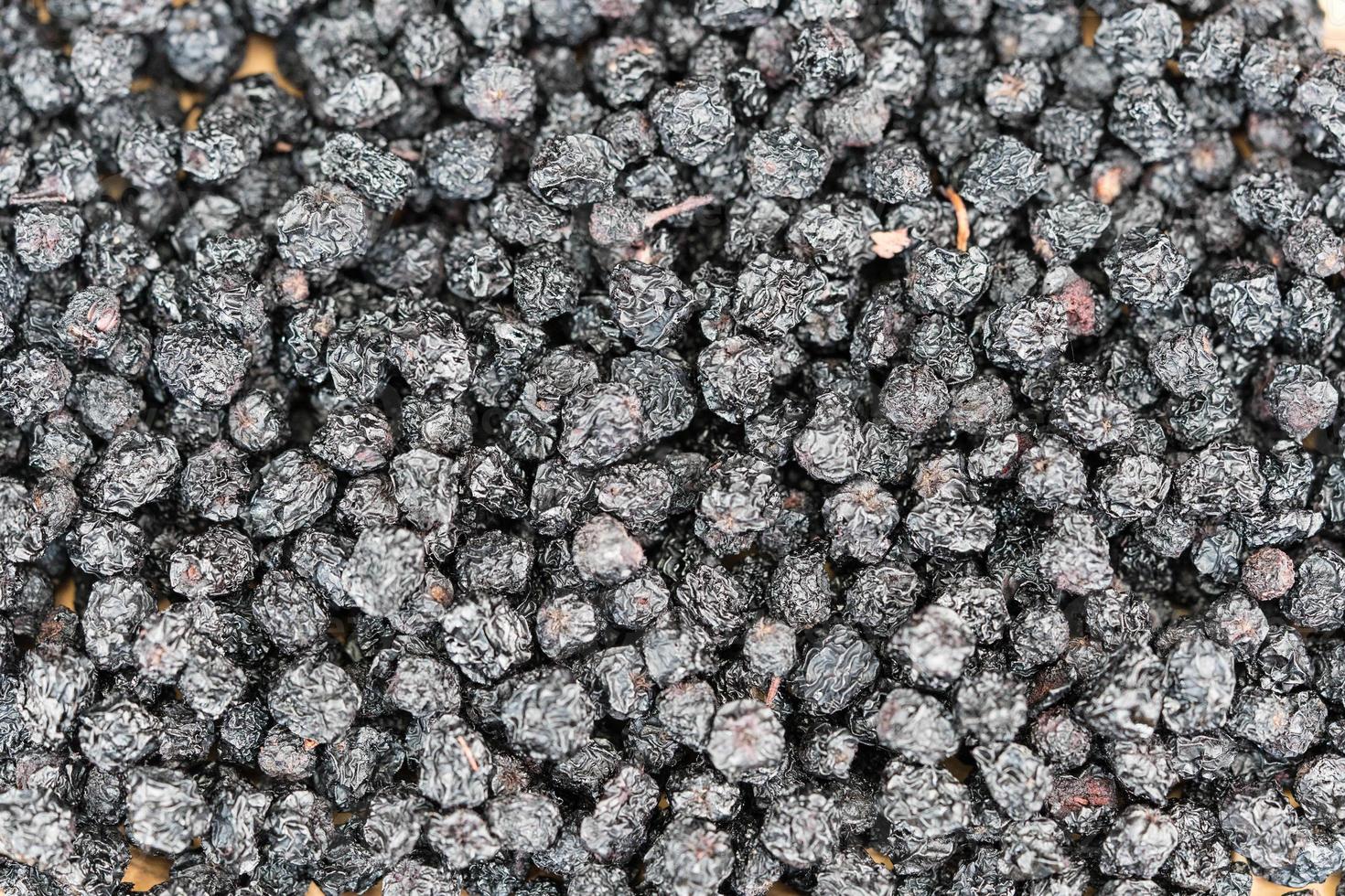 Black rowan aronia chokeberry photo