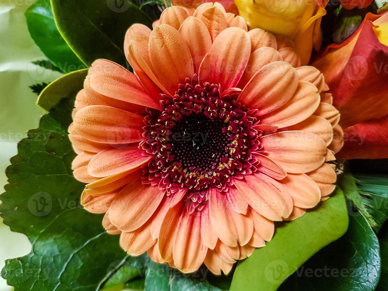 ramo de novia con diferentes flores. foto