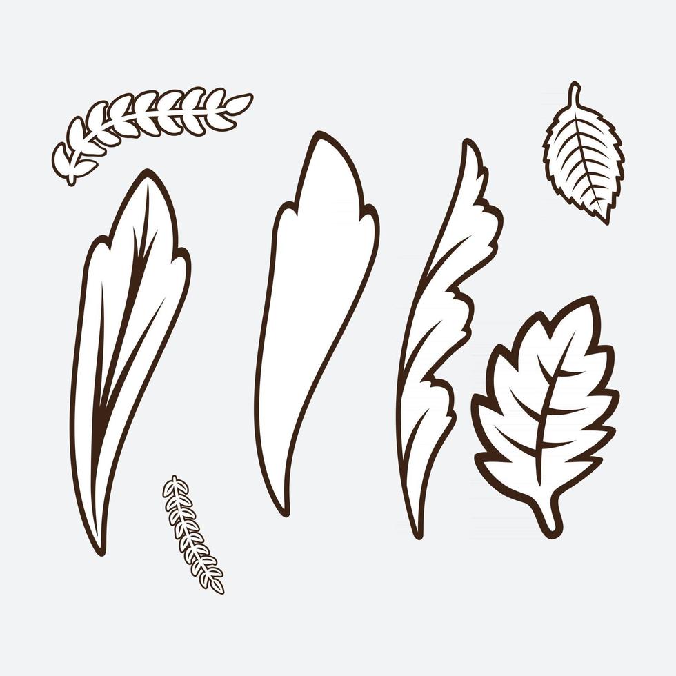 Floral design elements vector
