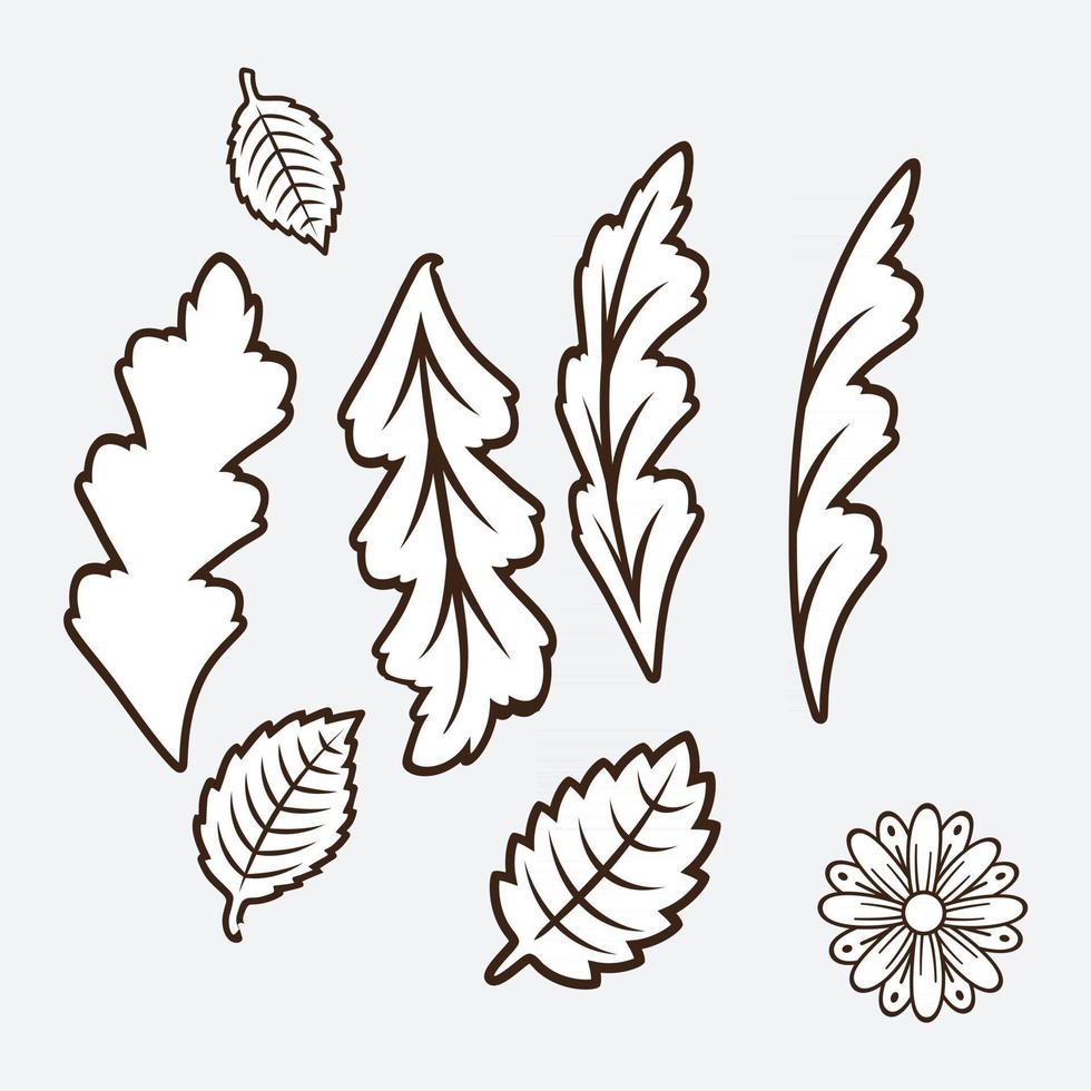 Floral design elements vector