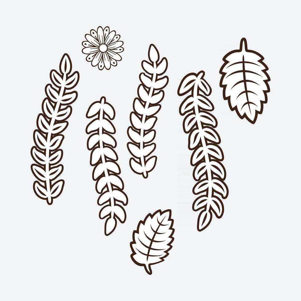 Floral design elements vector