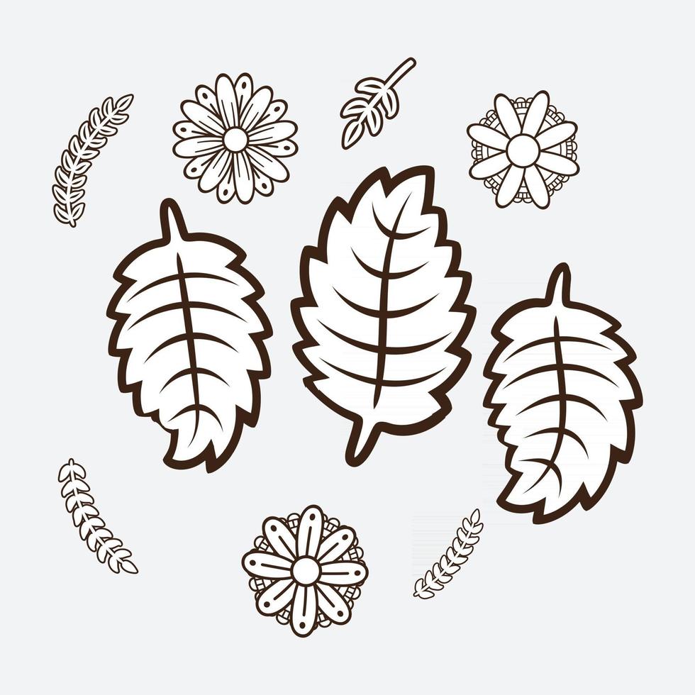 Floral design elements vector