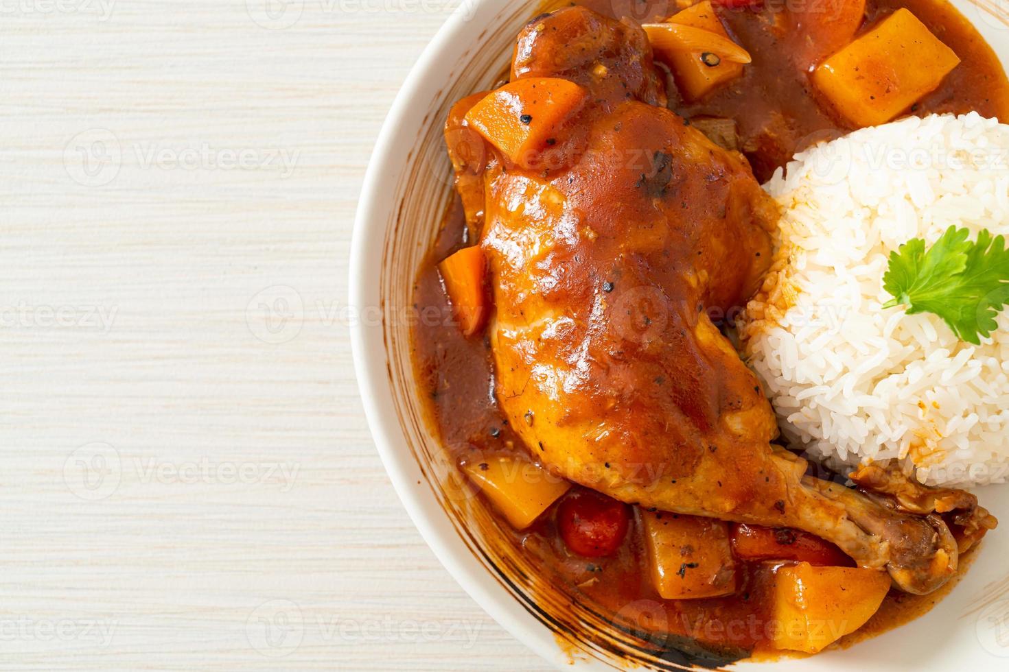Homemade chicken stew with tomatoes, onions, carrot, and potatoes on plate with rice photo
