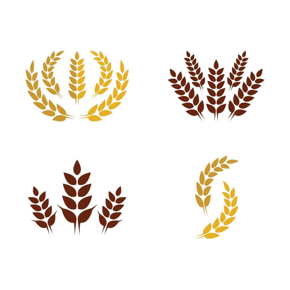 Wheat logo images vector