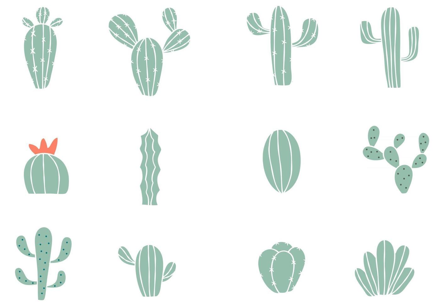 Cactus Collection Set vector