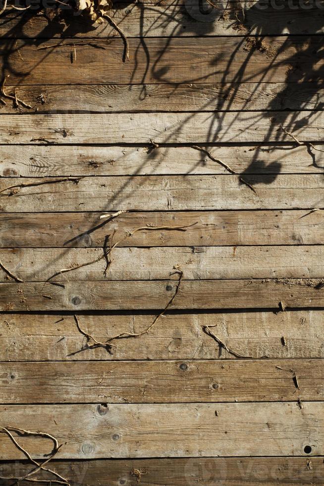 Grunge Wood pattern photo