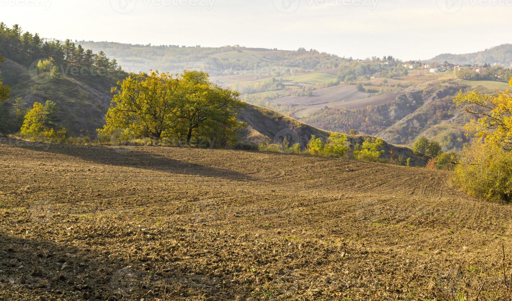 Vineyards and countryside of the Piedmont hinterland, Italy photo