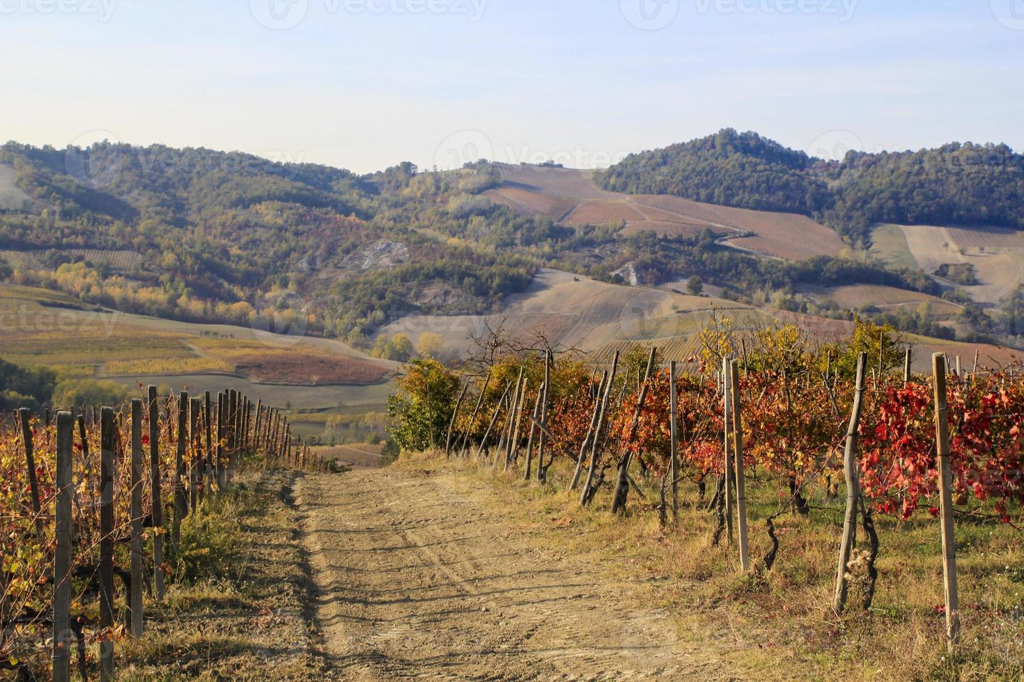 Vineyards and countryside of the Piedmont hinterland, Italy photo