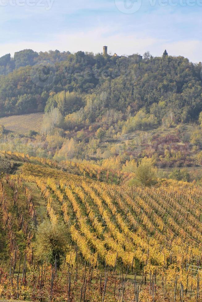 Vineyards and countryside of the Piedmont hinterland, Italy photo