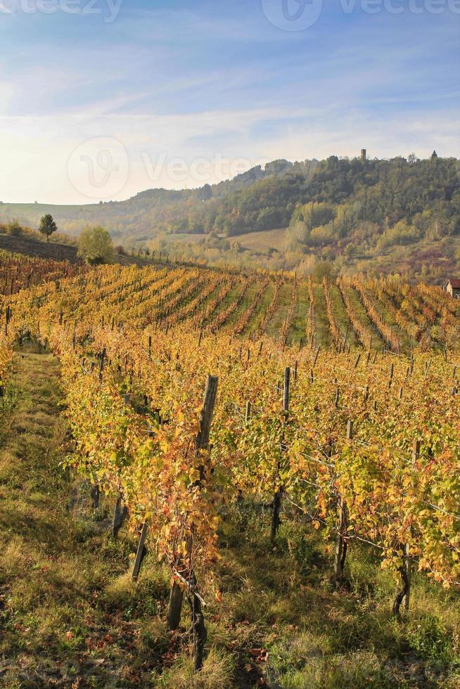 viñedos y paisajes del interior del piamonte, italia foto