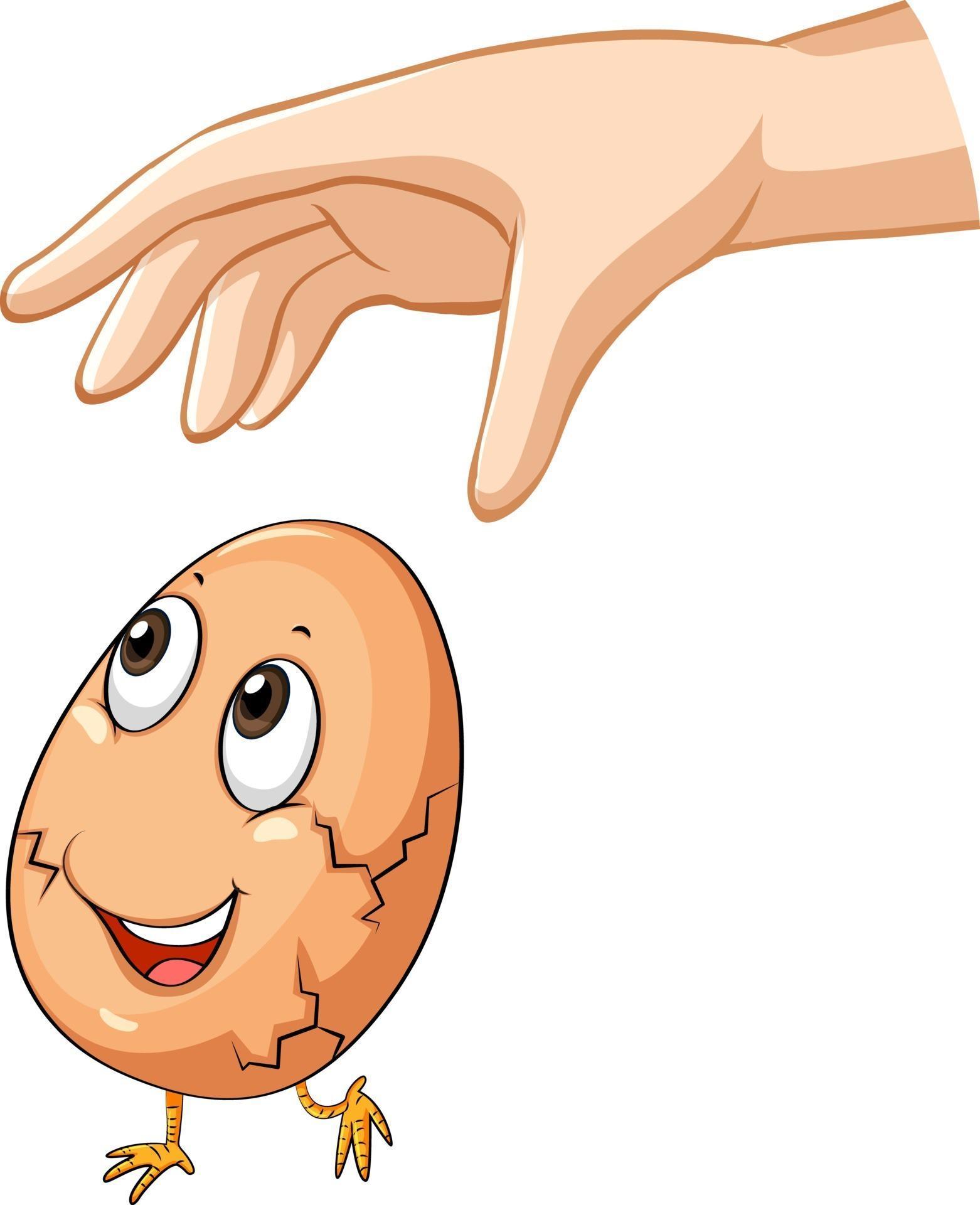 Hand dropping egg for gravity experiment 3013387 Vector Art at Vecteezy