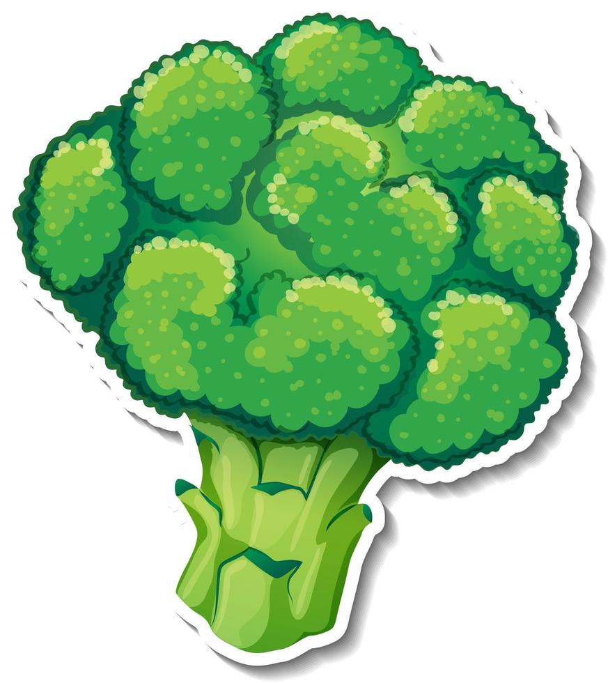 Broccoli sticker on white background vector