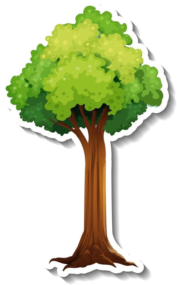 A tree with green leaves sticker on white background vector