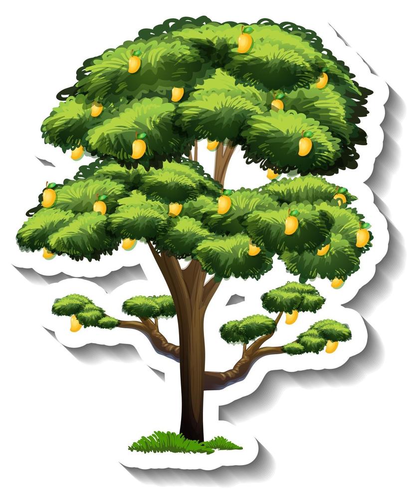 A mango tree sticker on white background vector