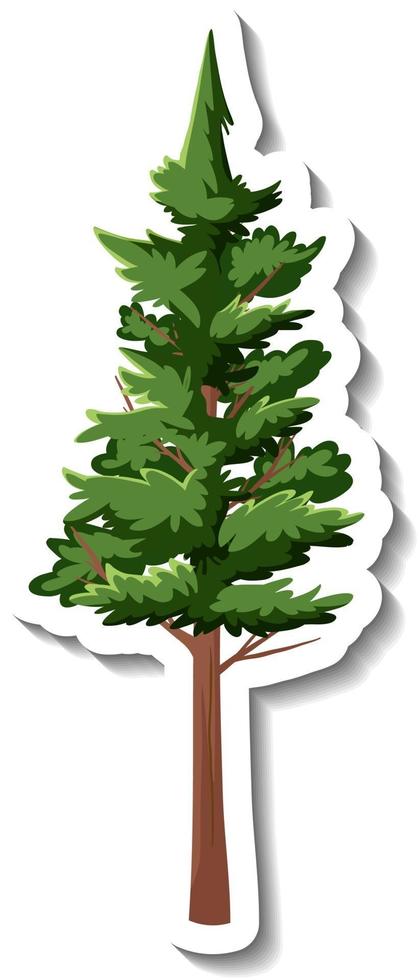 Pegatina árbol de hoja perenne sobre fondo blanco. vector