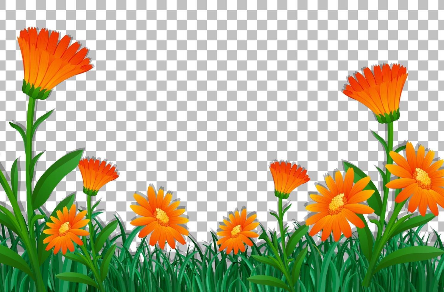 Orange flower field frame template vector