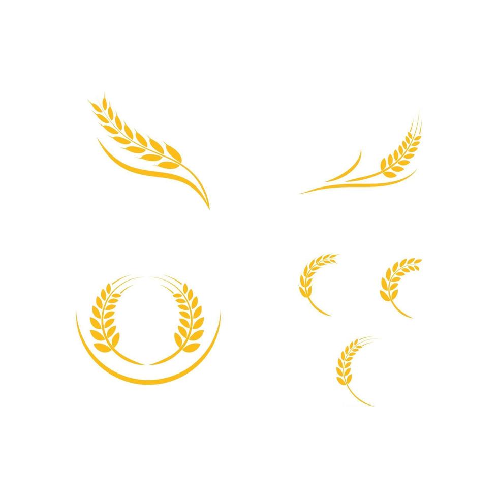 Agriculture wheat Logo vector