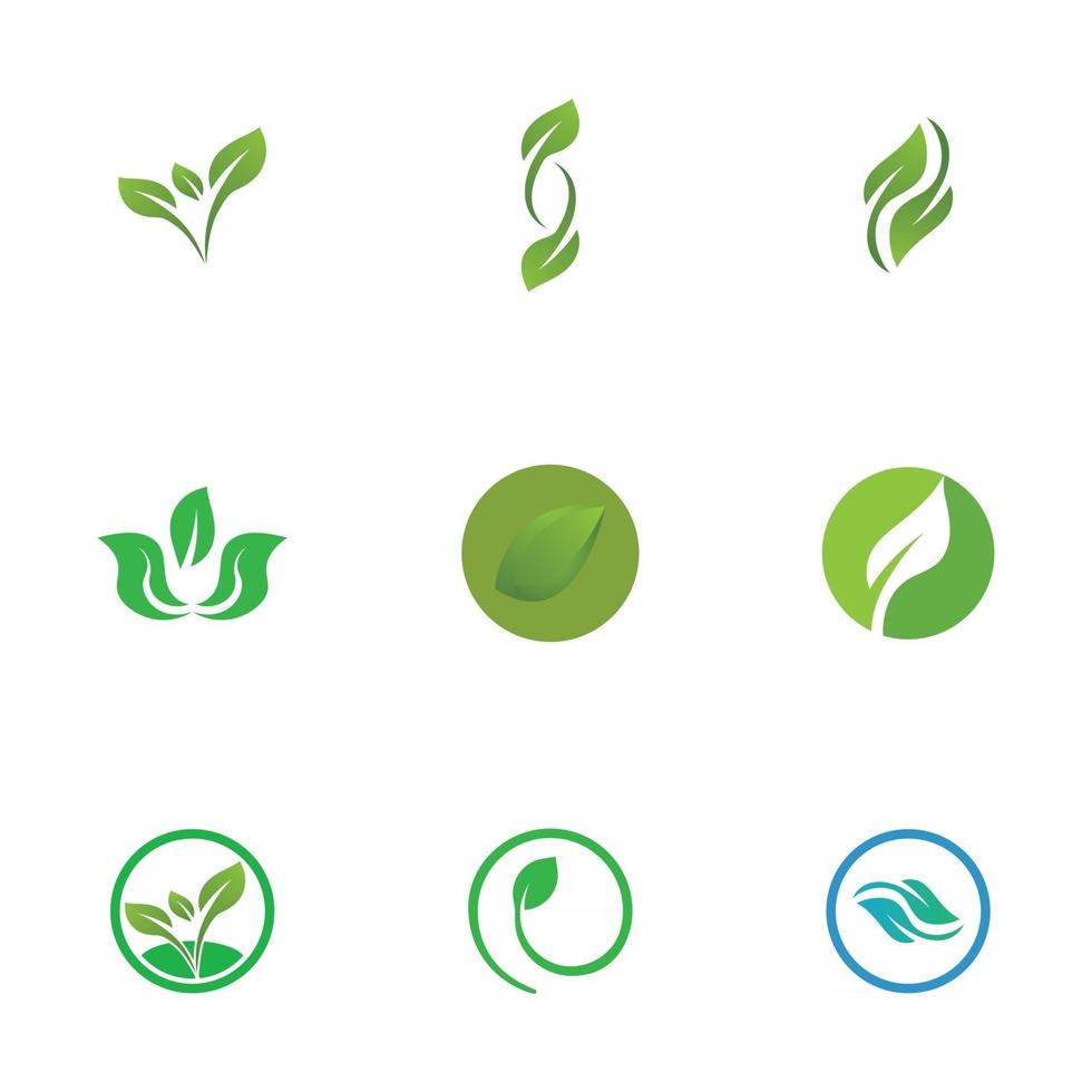 Green leaf logo vector