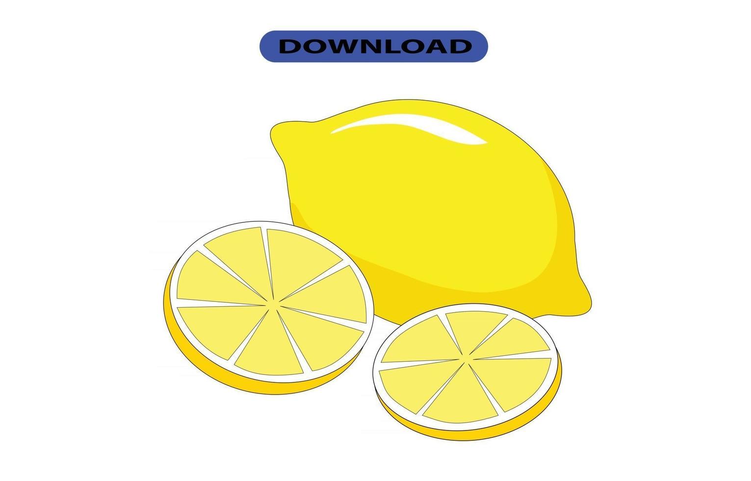 big fresh lime fruit with high resolution vector