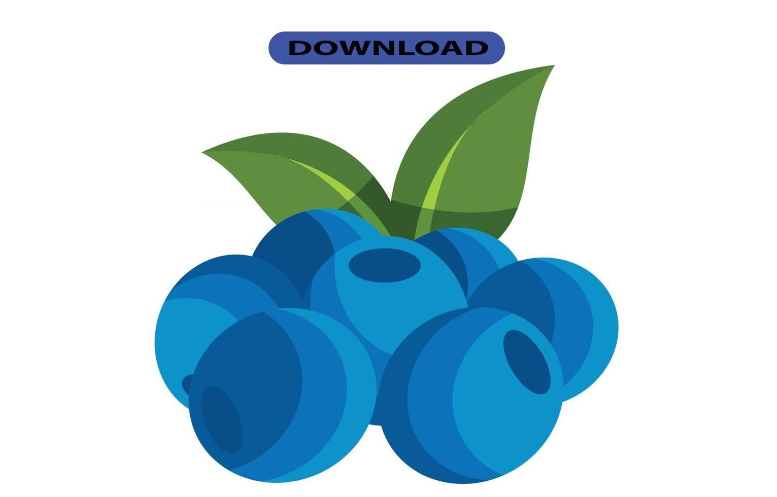 blue berry icon or logo high resolution vector