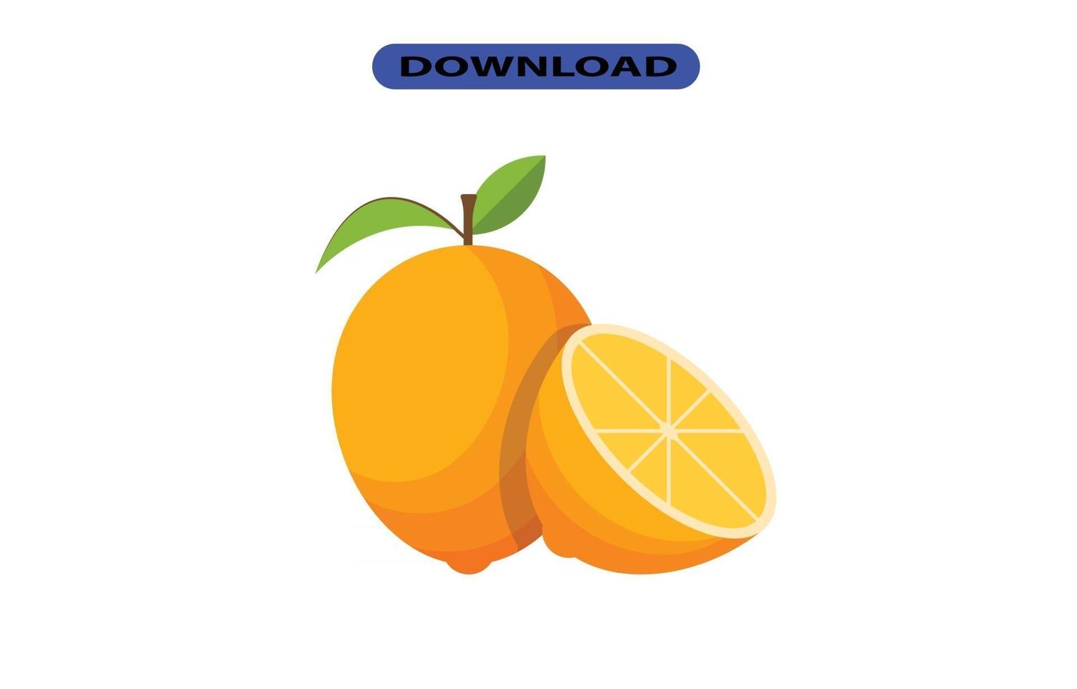 big fresh citrus fruit with high resolution vector