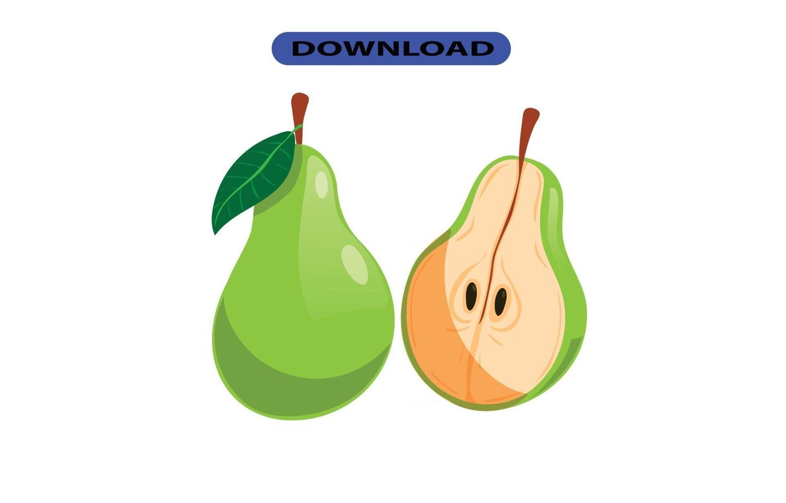 fresh and big guava fruit with high resolution vector