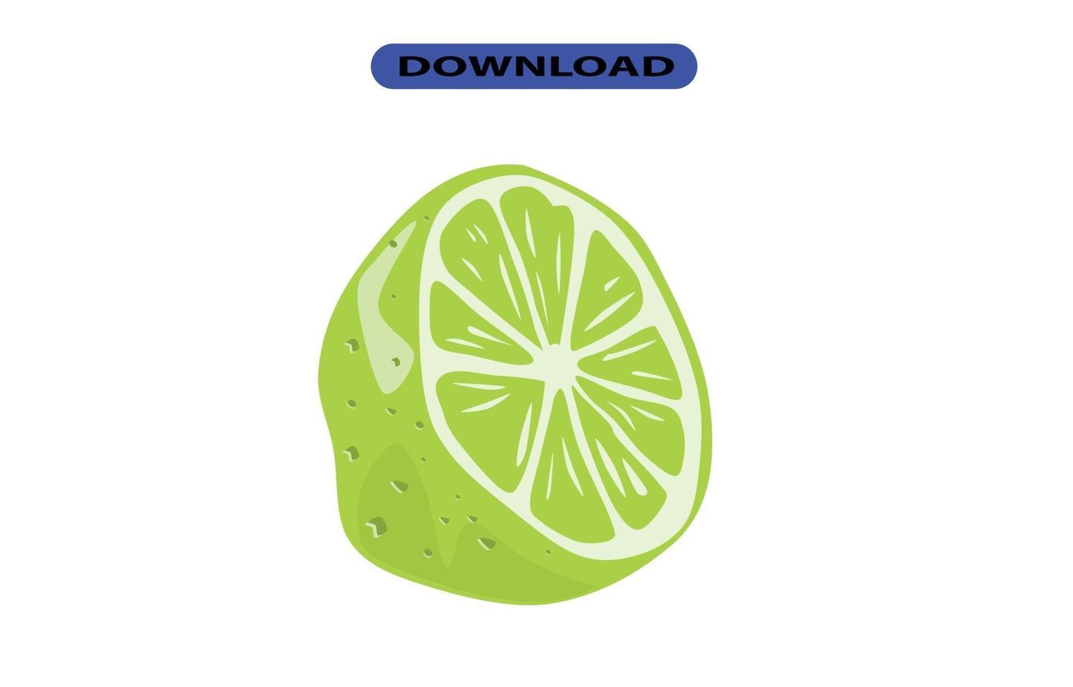 avocado icon or logo high resolution vector